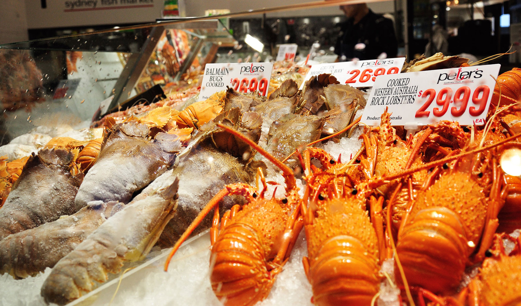 Grande Pyrmont Bay Estate