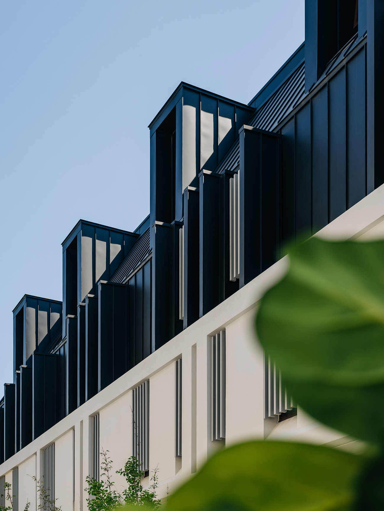 Grande Pyrmont Bay Estate